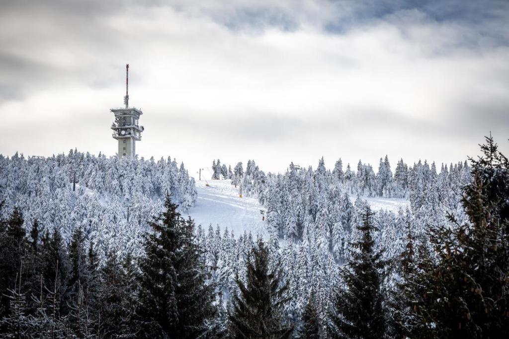 Meadows Apartments Klinovec Лоучна-под-Кліновцем Екстер'єр фото
