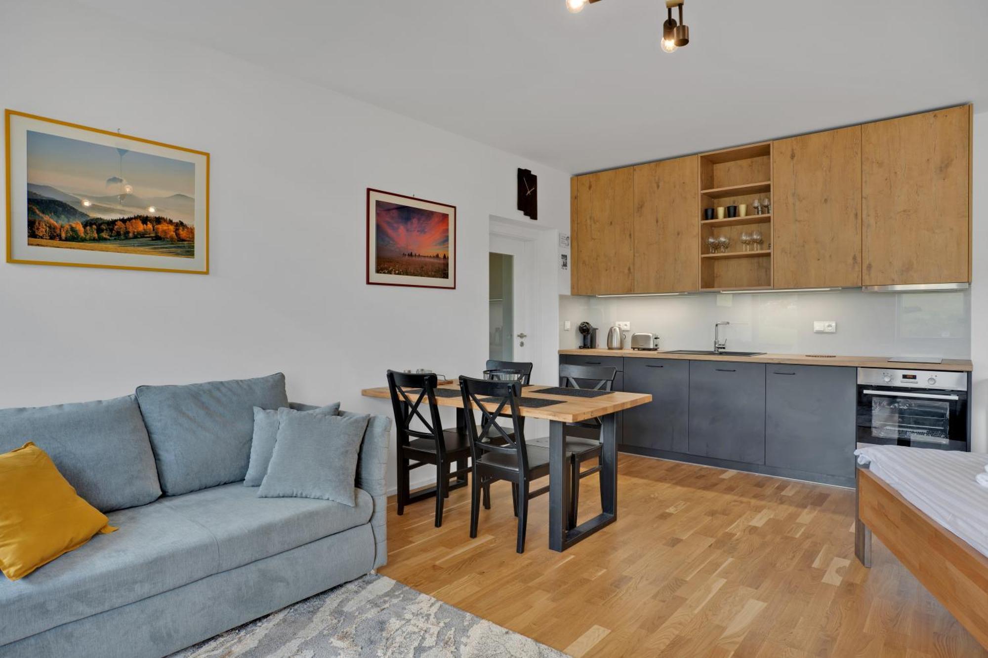 Meadows Apartments Klinovec Лоучна-под-Кліновцем Екстер'єр фото
